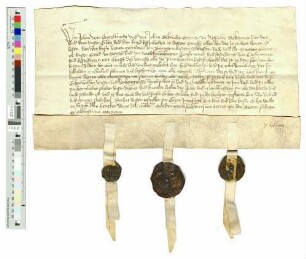 Die Brüder Johann, Engelbrecht und Johann Grafen von Nassau bestätigen die Privilegien der Stadt Siegen.