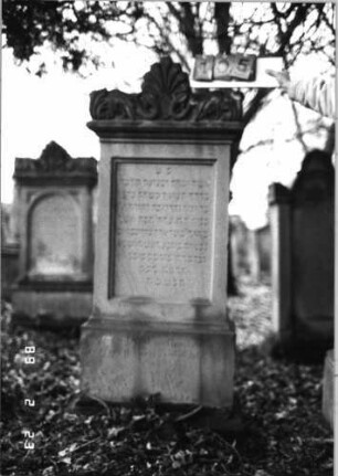 Grabstein 105 (Index: 99751881) Material: Sandstein Zustand: gut Maße HxBxT: 157x53x24 cm Beschreibung: Stele, Sockel, Abdeckplatte mit Volutenaufsatz mit Palmette, rechteck. Schriftfeld Symbolik: Palmette, Ranken: Grabstein 105