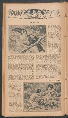 El tucán : Páginas infantiles