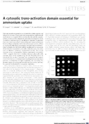 A cytosolic trans-activation domain essential for ammonium uptake