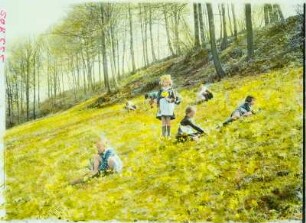Langenhennersdorf : Langenhennersdorf. Kinder (Helga T. stehend, Brigitte P. rechts) spielen auf der Himmelschlüsselwiese