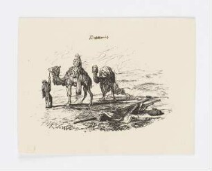 Kamele, Skizzen