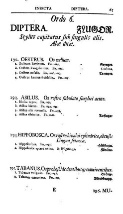 Ordo 6. Diptera