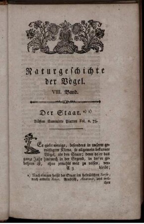 Der Staar.