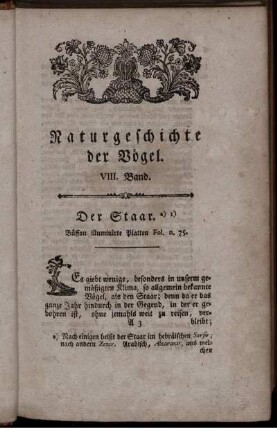 Der Staar.