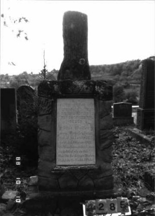 Grabstein 2285 (Index: 100097407) Maße HxBxT: 157x57x29 cm Symbolik: Baumstamm: Grabstein 2285 (Nachholaufnahme 1)