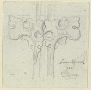 Detail einer Kreuzblume