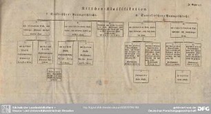 Kirschen-Klassifikation. Zu Seite 195