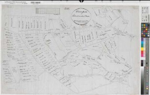 Brochterbeck (Tecklenburg), Teilung der Horstmerscher Mark, Teilungskarte Bl.1 Kopie