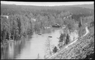 Grillenburg. Seerenteich im Grillenburger Wald