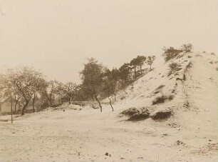 Dünenlandschaft Geesthacht