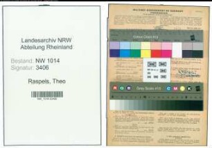 Entnazifizierung Theo Raspels , geb. 04.03.1910 (Landwirt)
