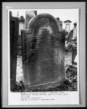Grabstein von Salomon Herzog (gestorben 1893.03.29)