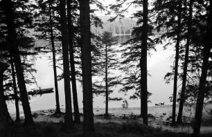 Mummelsee: Rund um den See; Seeufer, von oben