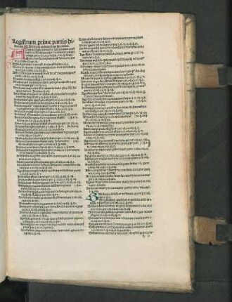 Registrum prime partis ...