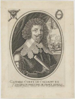 Bildnis des Gaspard de Colligny