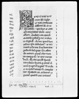 Bernardus, Sermones in Contica Canticorum — Initiale B(enignus), Folio 40recto