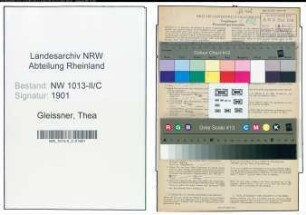 Entnazifizierung Thea Gleissner , geb. 01.07.1898 (Putzmachermeisterin)