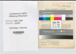 Entnazifizierung Heinrich Schnitzler, geb. 26.12.1903 (Amtsgerichtsrat)