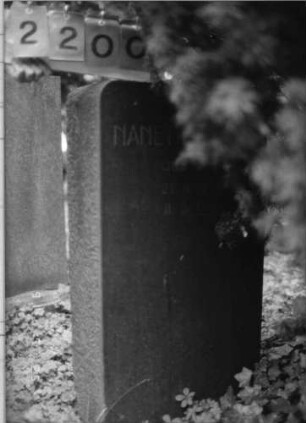 Grabstein 2200 [Hahn S. 58 Grab-Nr. 3148]