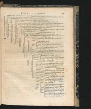 Tabula XIII.