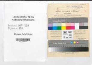 Entnazifizierung Mathilde Drees , geb. 27.02.1911 (Juristische Sachbearbeiterin)