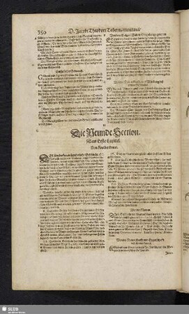 Die Neunde Section