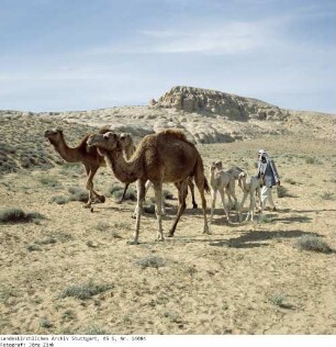 Jordanien: Wadi Ram