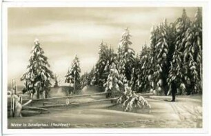 Schellerhau. Winter in Schellerhau