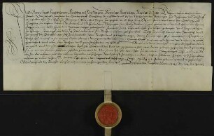 Johann Jakob Fugger von Kirchberg [Oberkirchberg Gde. Illerkirchberg/Alb-Donau-Kreis] und Weißenhorn [Lkr. Neu-Ulm] verleiht als derzeitiger Inhaber der Grafschaft Kirchberg [Oberkirchberg Gde. Illerkirchberg/Alb-Donau-Kreis] Wilhelm von Stotzingen [Niederstotzingen/Lkr. Heidenheim] zu Dischingen ("Tischingen") [Oberdischingen/Alb-Donau-Kreis] und Heudorf [Gde. Dürmentingen/Lkr. Biberach] einen halben Hof in Ringingen [Stadt Erbach/Alb-Donau-Kreis], den derzeit Georg ("Jörg") Schrem bewirtschaftet.