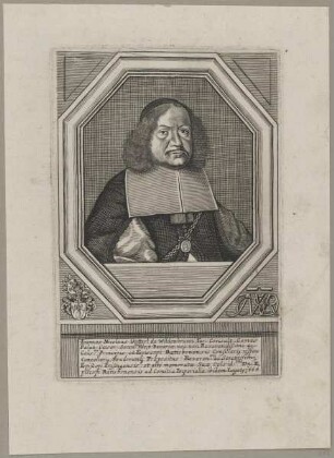 Bildnis des Ioannes Nicolaus Vetterl de Wildenbrunn