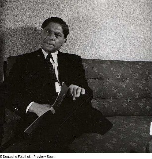 Portraitserie Arthur Koestler