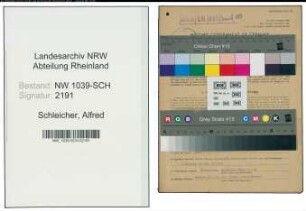 Entnazifizierung Alfred Schleicher , geb. 29.07.1905 (Schornsteinfeger)