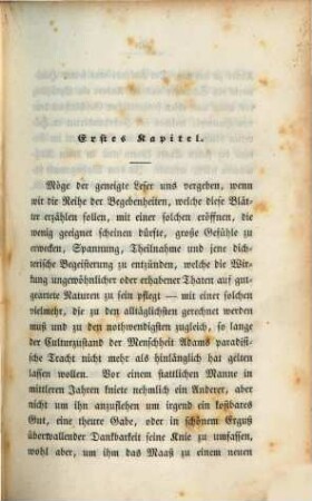Der Knabe von Lucern : historischer Roman aus der Schweizer Geschichte. 1