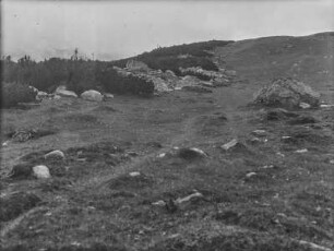 Findlinge und Vegetation : Blick über einen Berghang mit Findlingen und Buschvegetation