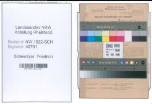 Entnazifizierung Friedrich Schweitzer , geb. 01.04.1909 (Ladeschaffner)