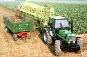 Fotografie: Erntetechnik, Zuckerrübe, Zuckerrübenköpfrodebunker gezogen, Be- und Entladen, Zweiachsanhänger