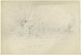 Landschaft