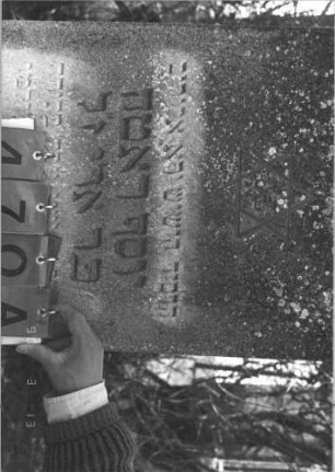 Grabstein 470 (Index: 99786473) Maße HxBxT: 157x52x15 cm Symbolik: Davidstern: Grabstein 470A