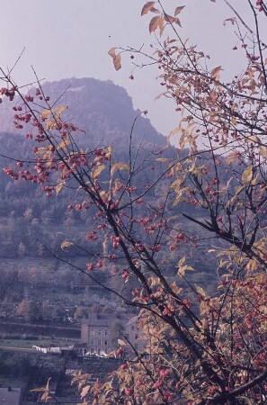 Königstein in der Sächsischen Schweiz im Herbst