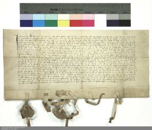 Heinrich [von Hohenberg], Abt von Fulda, verschreibt Feste, Amt und Gericht Bingenheim