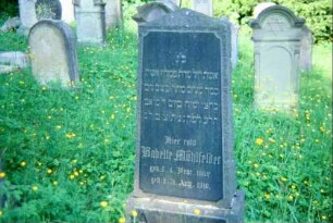 jüdischer Friedhof, einzelner Grabstein
