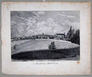 Stadtansicht von Radeberg bei Dresden mit dem Rathausturm und dem Schloss Klippenstein, Blick über ein Kornfeld auf die Stadt