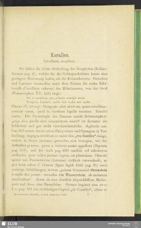 Korallen