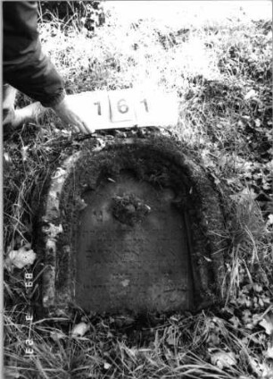 Grabstein 161 (Index: 99792276) Material: Sandstein Zustand: stark verwittert mit großem Textverlust, untere Hälfte der Stele fehlt, Stele liegend Maße HxBxT: 78x63x14 cm Beschreibung: ädikulaartige Stele mit Halbsäulen, Rundbogenabschluß, Schriftfeld eingetieft Symbolik: Blüte: Grabstein 161