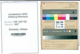 Entnazifizierung Wilhelm Schneider , geb. 09.11.1894 (Landwirt)