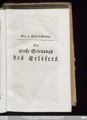 Die 2. Betrachtung. Die grosse Selenangst des Erlösers.