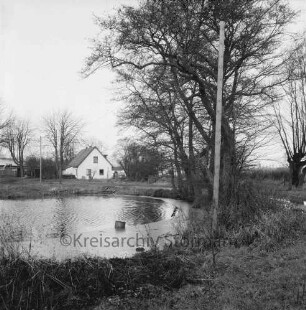 Teich: hinten links Wohnhaus Müthel: rechts Bäume