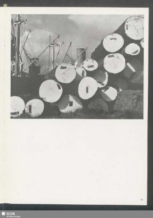 Holzlager am Togokai
