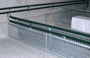 Fotografie: Stallsystem, Mastschwein, Spaltenboden